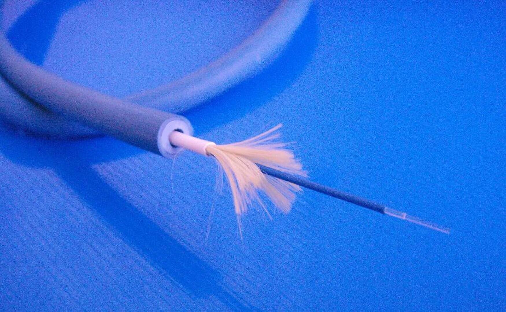 Close-up of the end of a cut fiber optic cable, showing the inner fibers and core against a blue background.