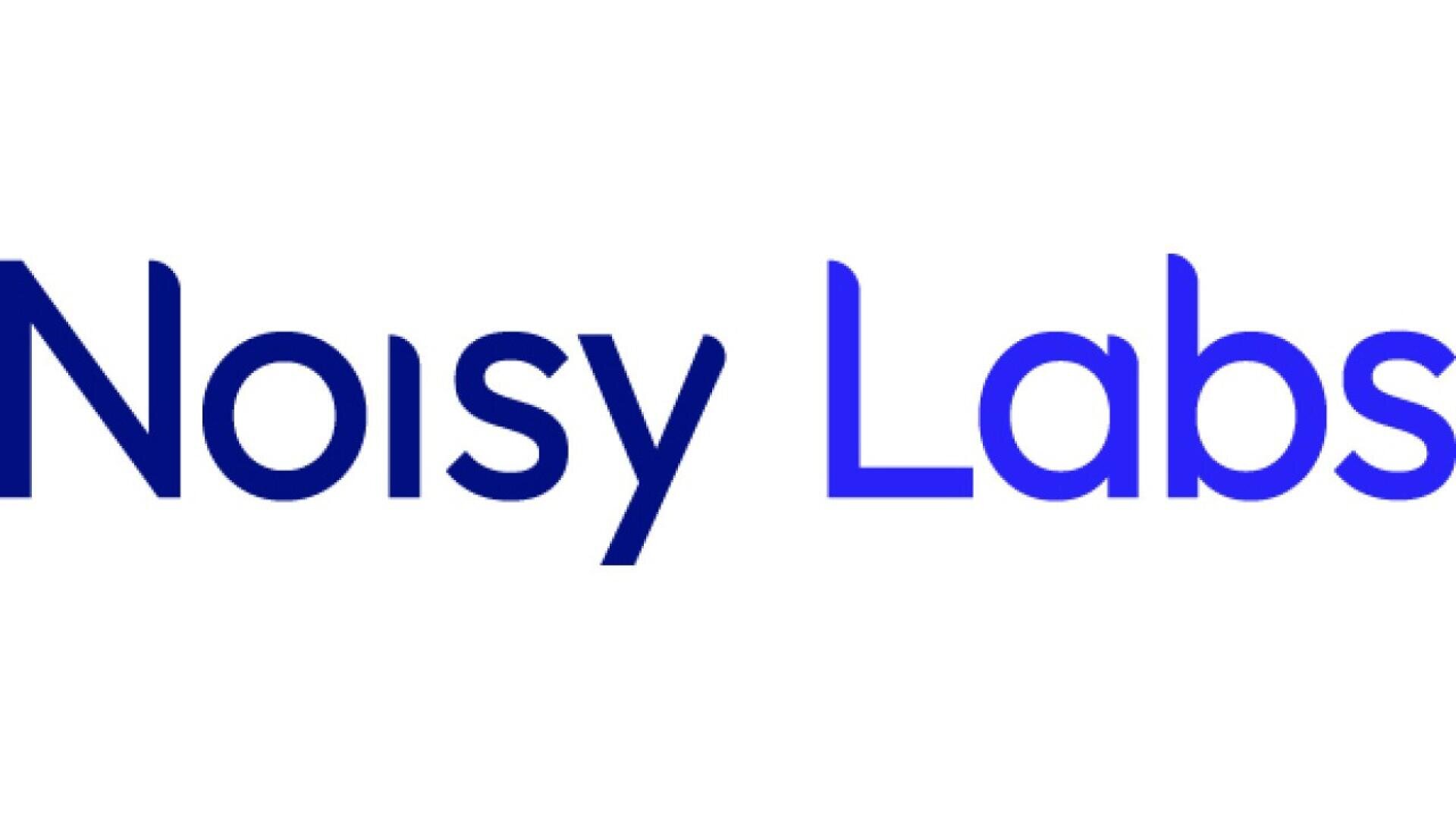 The image shows the words Noisy Labs in a modern, sans-serif font with a gradient blue color on a white background.