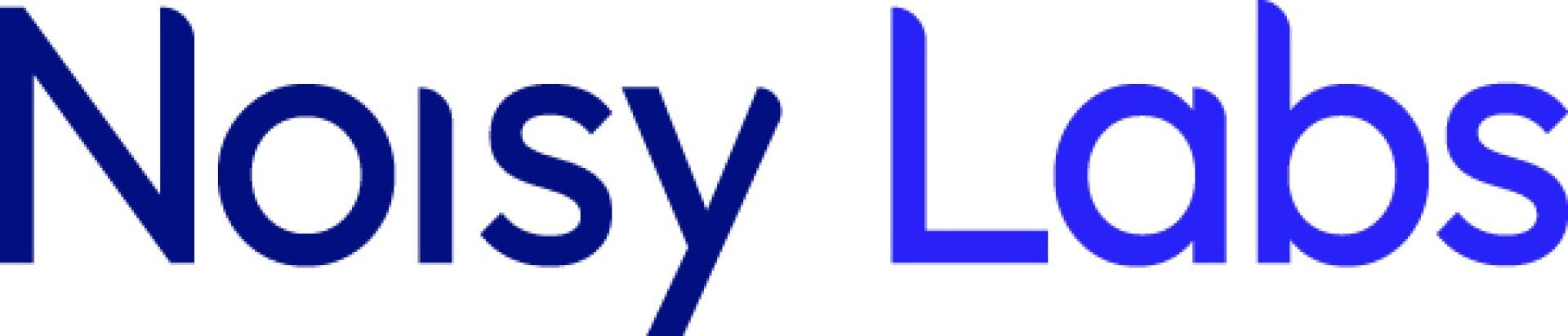 Das Bild zeigt die Wörter „Noisy Labs“ in einer modernen, blauen Farbverlaufsschrift auf weißem Hintergrund.